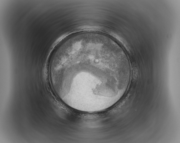 X0000116651074200912211442