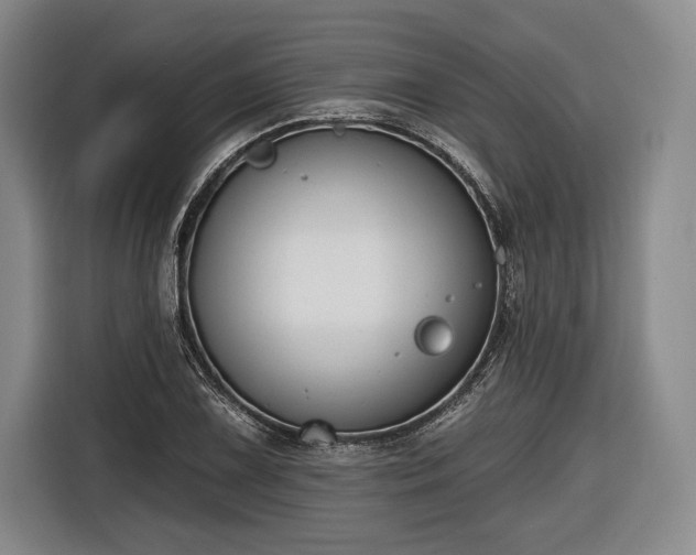 X0000116651075200912211442