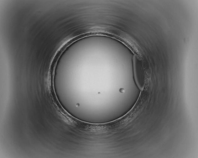 X0000116651076200912211442
