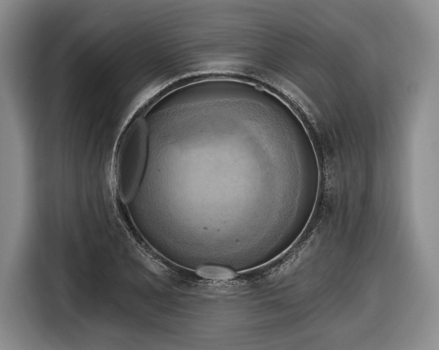 X0000116651077200912211442
