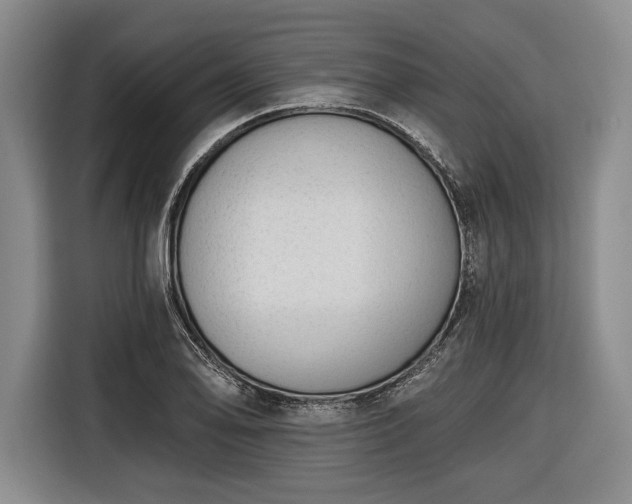 X0000116651078200912211442