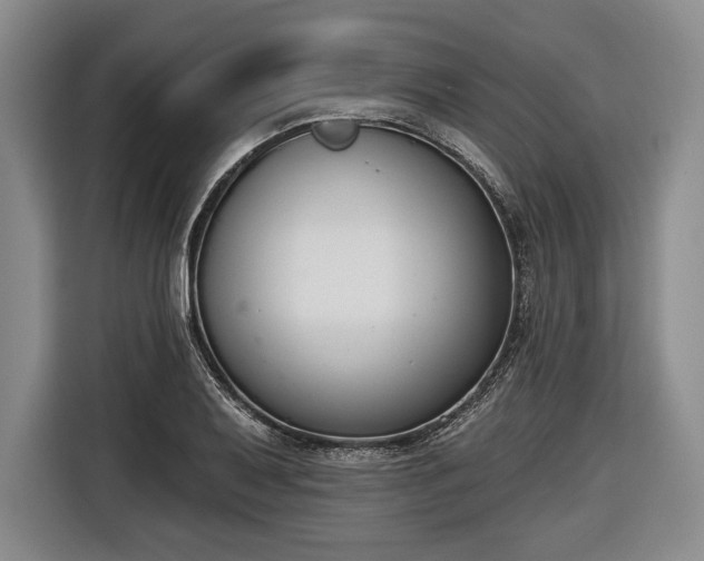 X0000116651079200912211442
