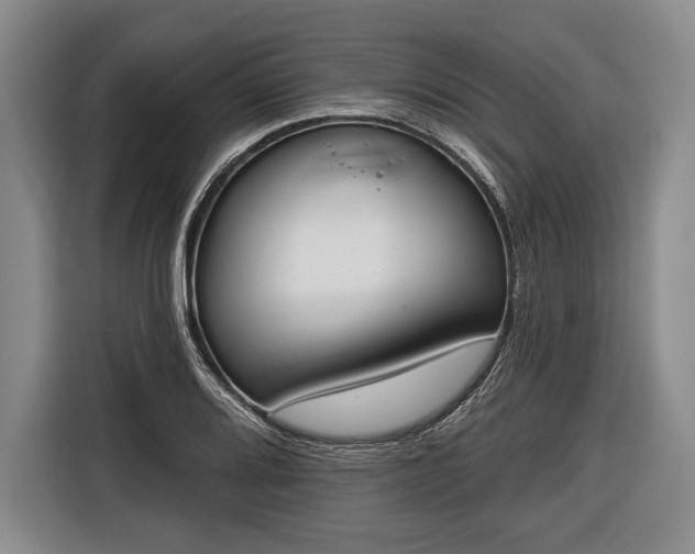 X0000116651080200912211442