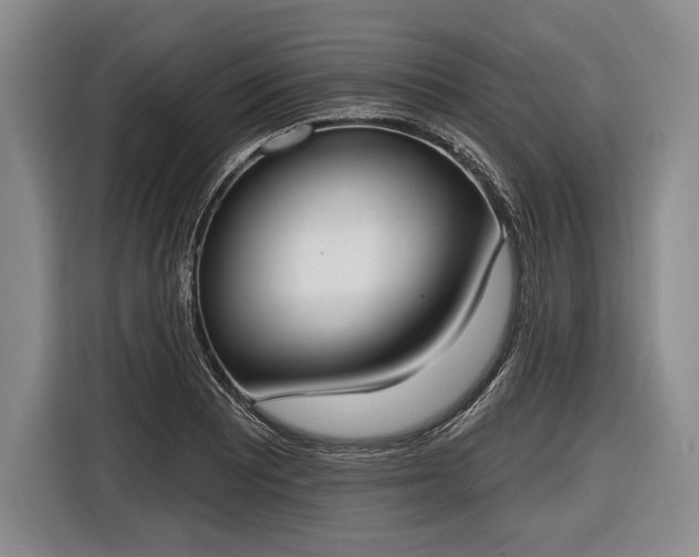 X0000116651081200912211442