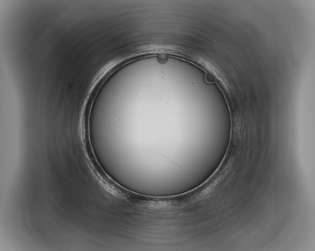 X0000116651082200912211442
