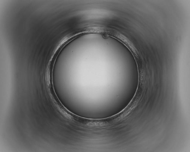 X0000116651083200912211442