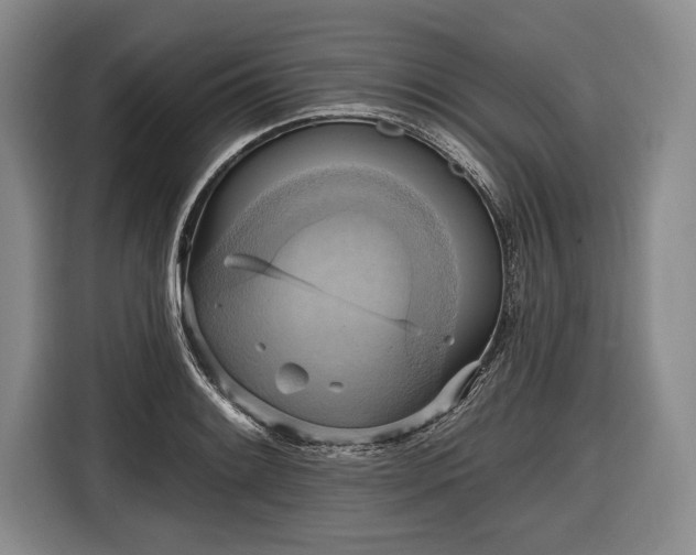 X0000116651084200912211442