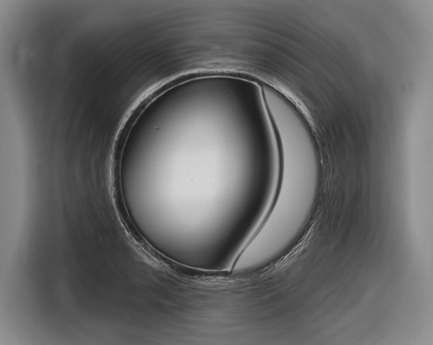X0000116651085200912211442