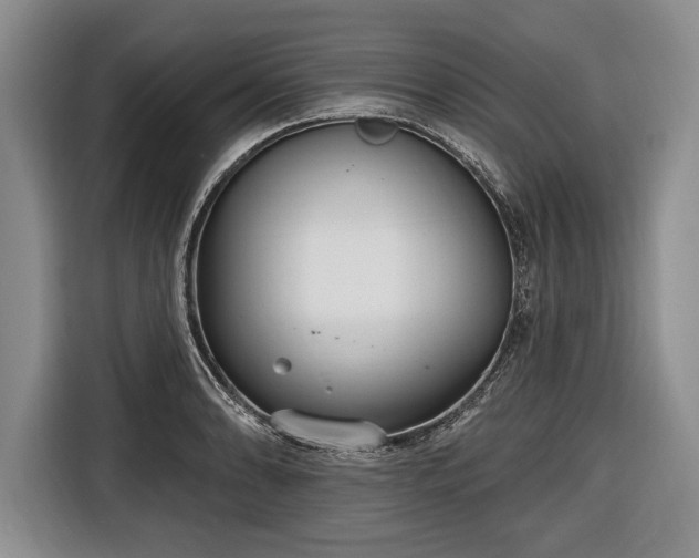 X0000116651086200912211442