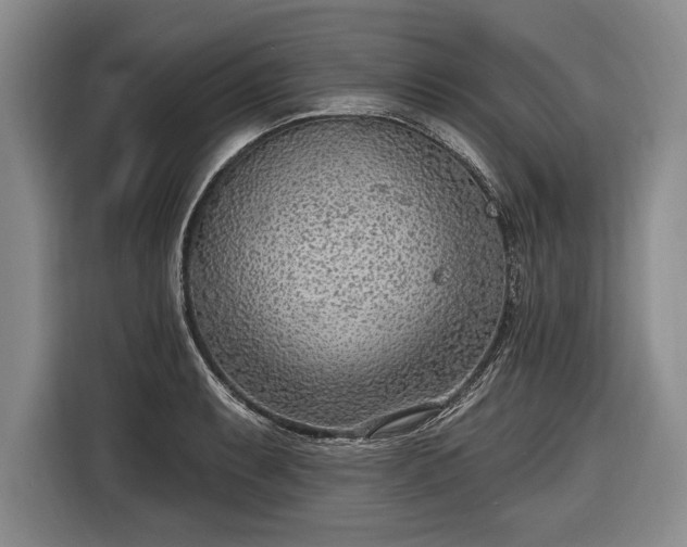 X0000116651087200912211442