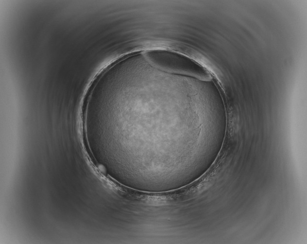 X0000116651088200912211442