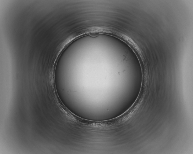 X0000116651089200912211442