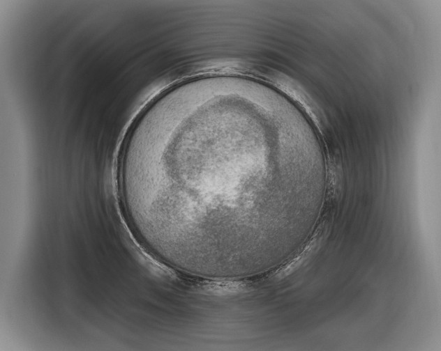 X0000116651090200912211442