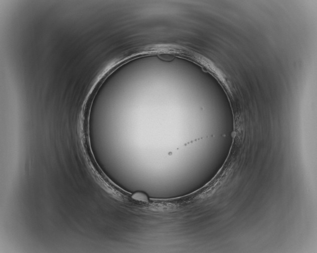 X0000116651091200912211442