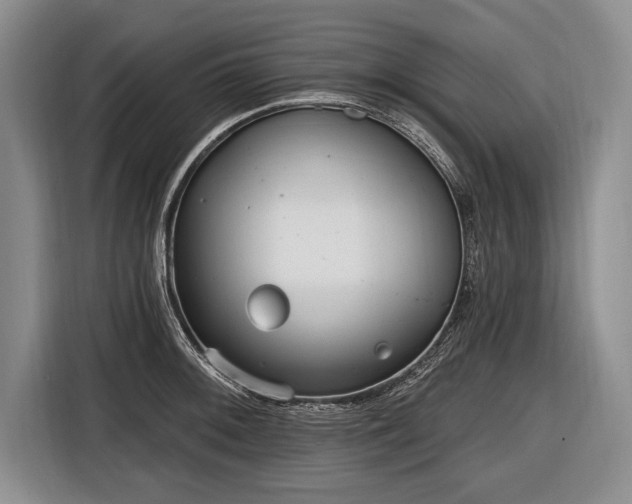 X0000116651092200912211442