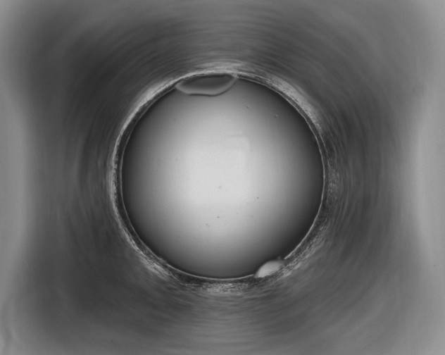 X0000116651093200912211442