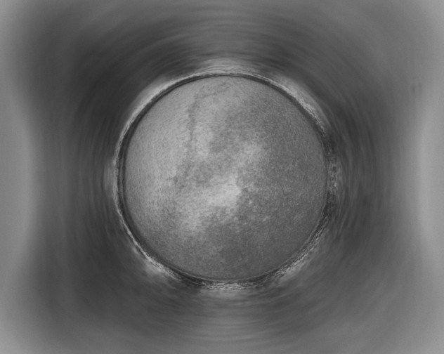 X0000116651094200912211442