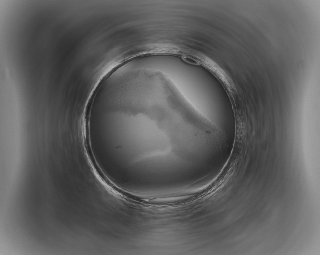 X0000116651095200912211442