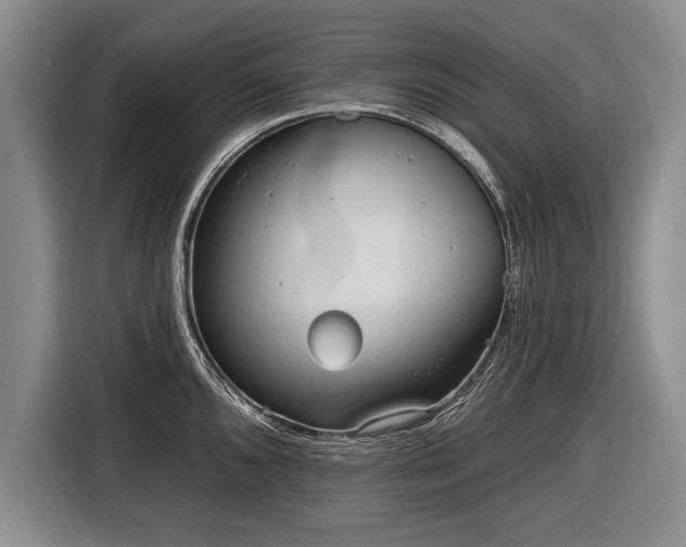 X0000116651096200912211442