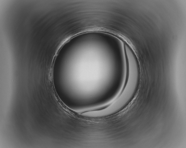 X0000116651097200912211442