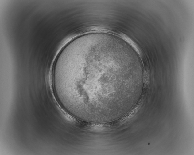 X0000116651098200912211442