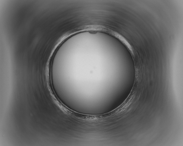 X0000116651099200912211442