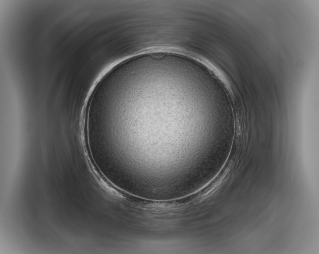 X0000116651102200912211442