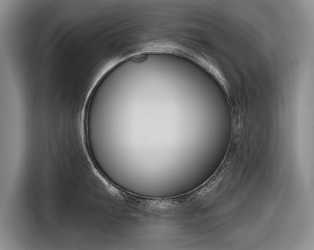 X0000116651103200912211442