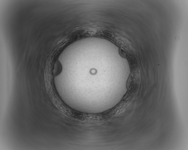 X0000116651105200912211441