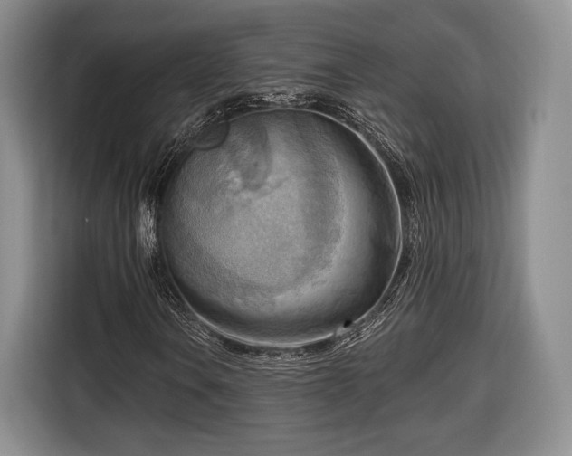 X0000116651106200912211441
