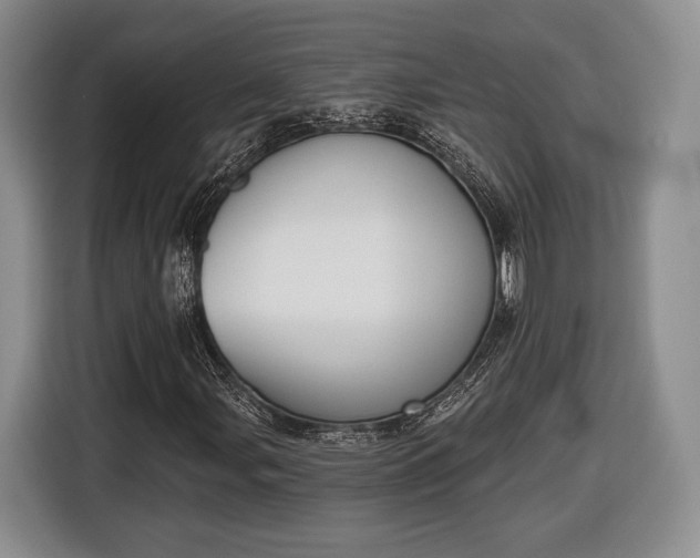 X0000116651107200912211441