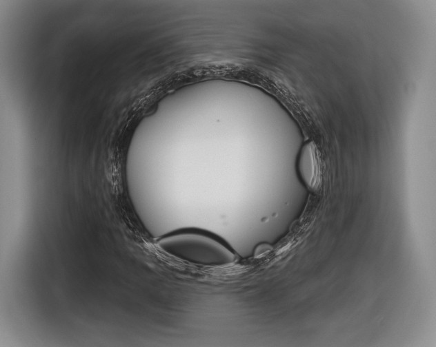X0000116651109200912211441