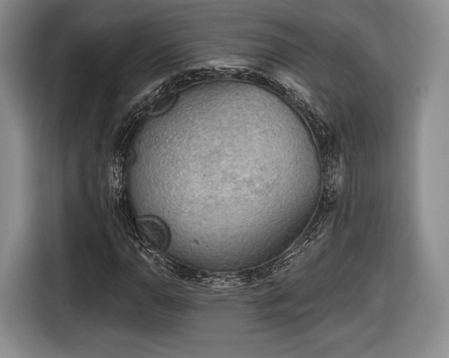 X0000116651110200912211441