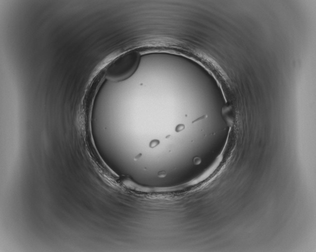 X0000116651114200912211442