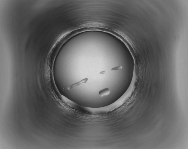 X0000116651115200912211442