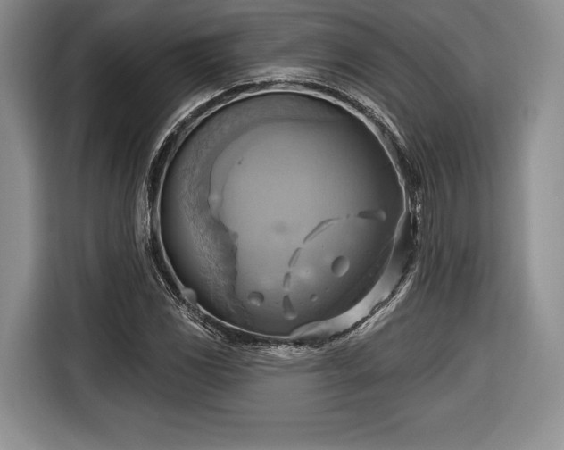 X0000116651117200912211442