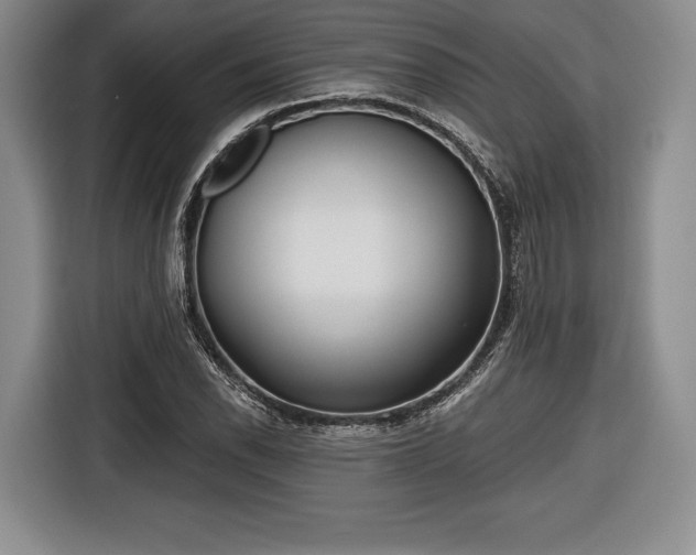X0000116651118200912211442