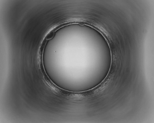 X0000116651119200912211442