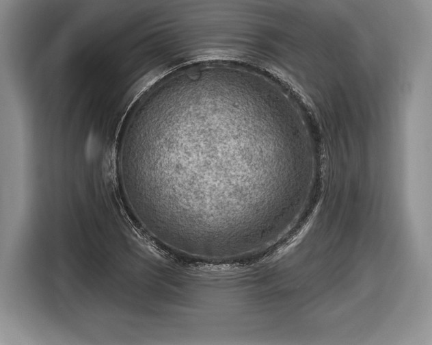 X0000116651121200912211442