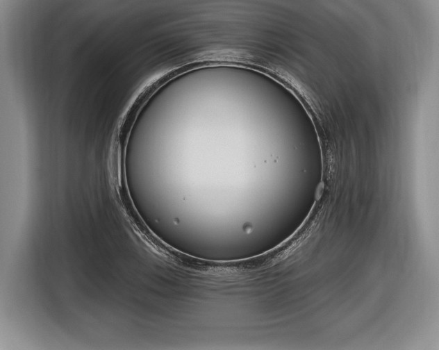 X0000116651123200912211442