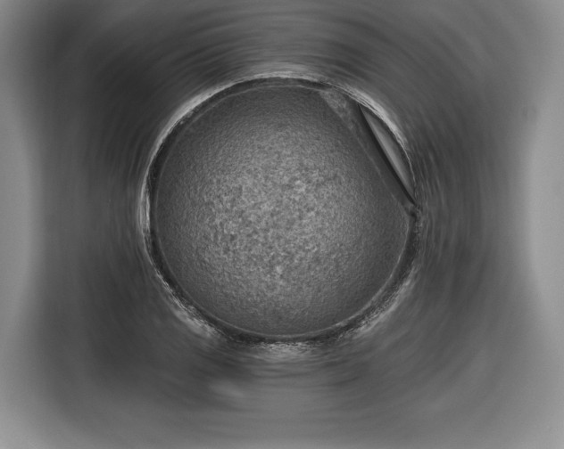 X0000116651125200912211442