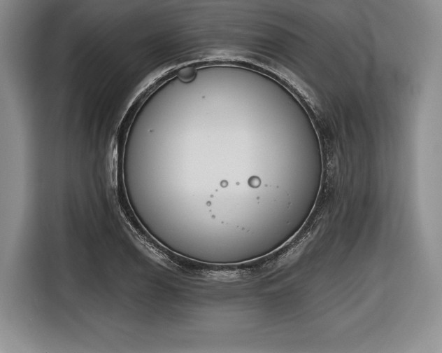 X0000116651126200912211442