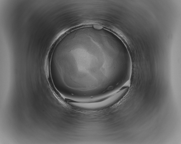 X0000116651127200912211442