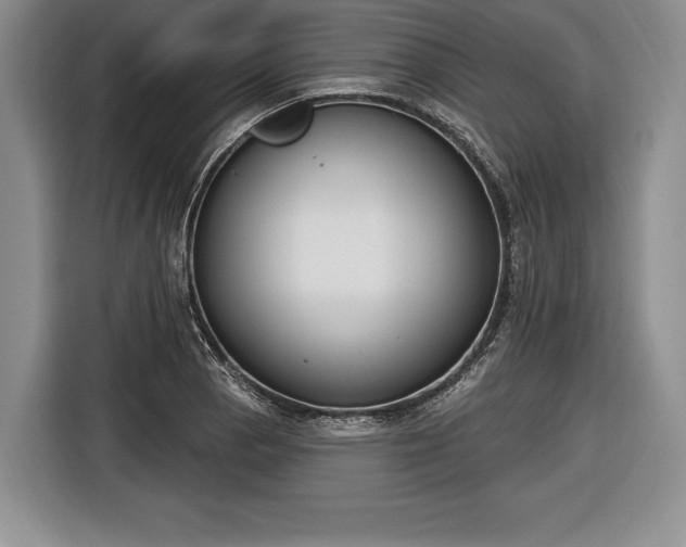 X0000116651129200912211442