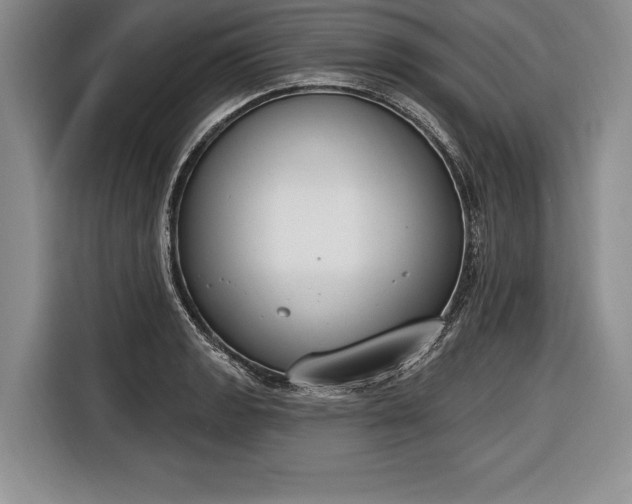 X0000116651133200912211442
