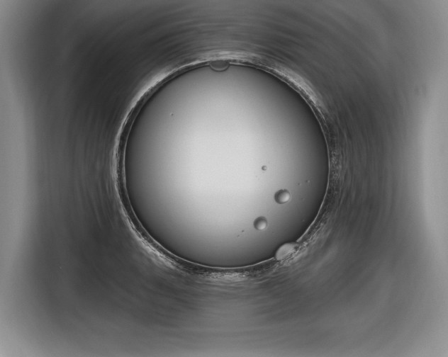 X0000116651135200912211442