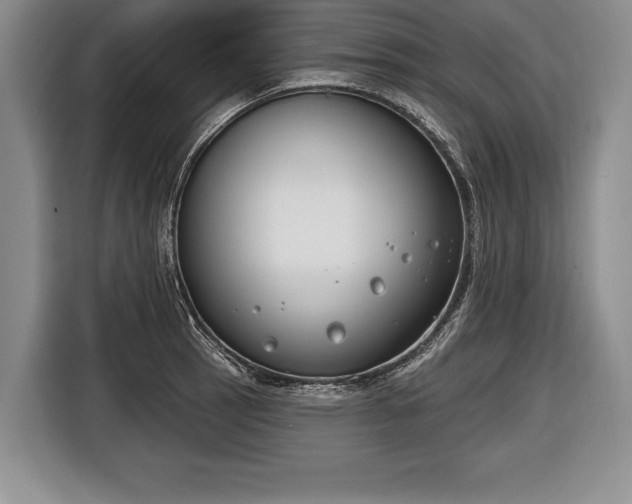 X0000116651137200912211442