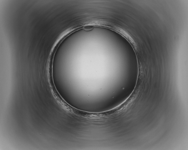 X0000116651138200912211442