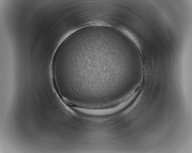 X0000116651141200912211442