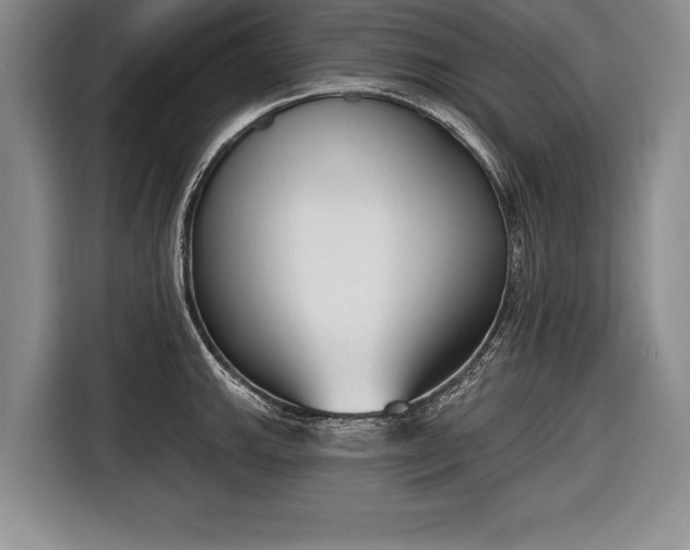 X0000116651143200912211442